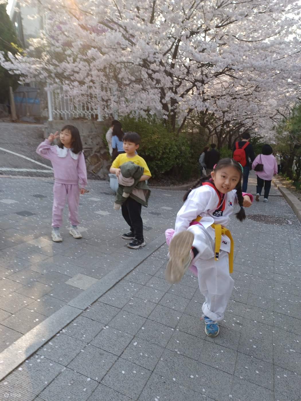 COURS DE TAEKWONDO D'UNE JOURNÉE À SÉOUL