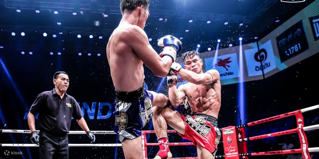 最大泰拳