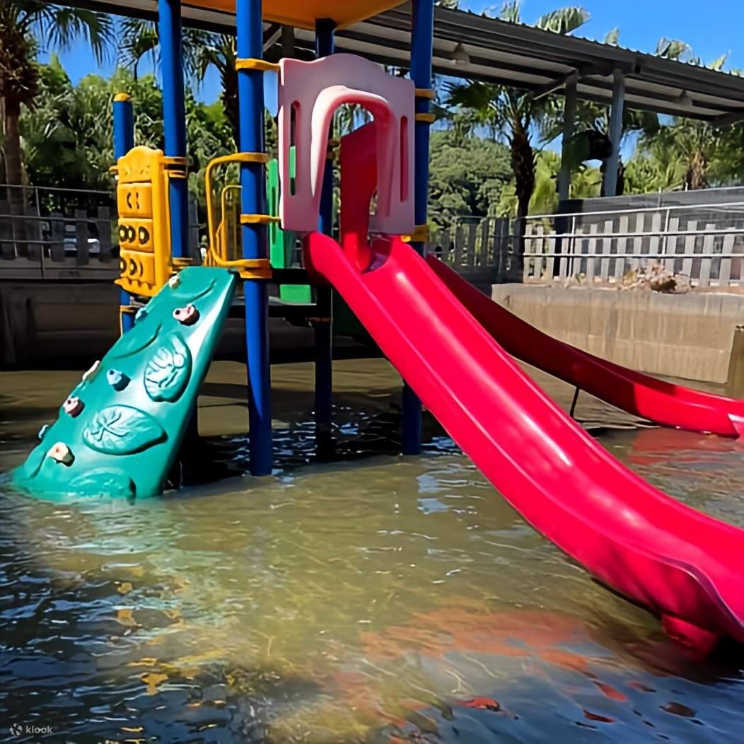 เถาหยวน: Tea Field 里山野露營