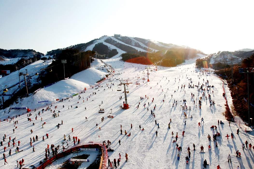 Vista sulla collina di Wellihilli