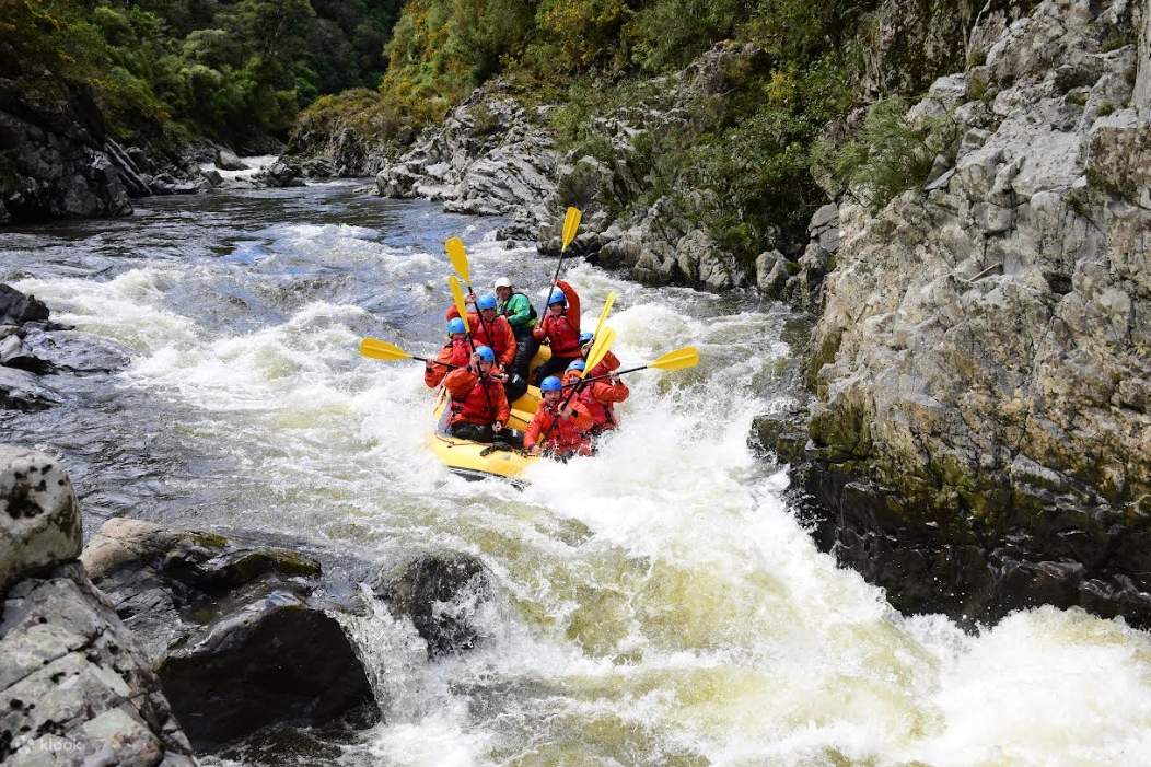 Te Awa Kairangi Wilderness Rafting