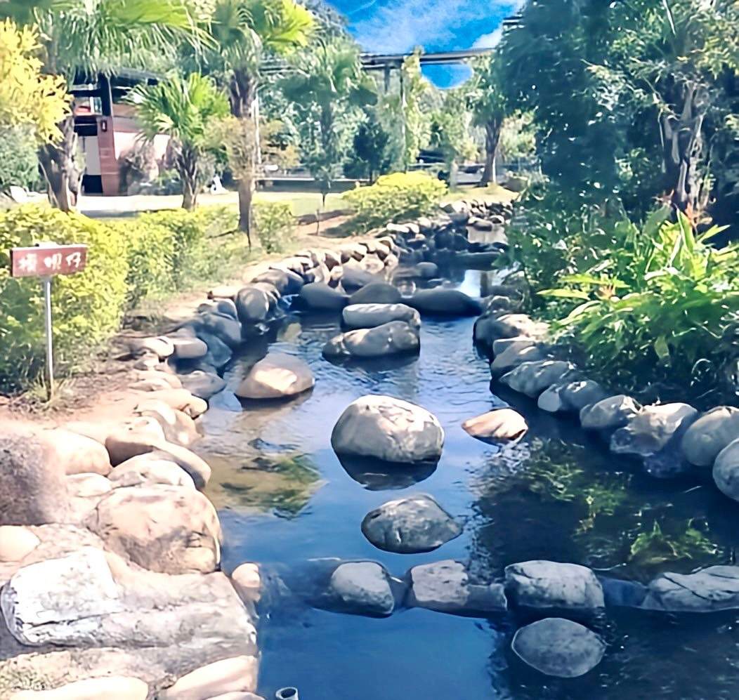 เถาหยวน: Tea Field 里山野露營