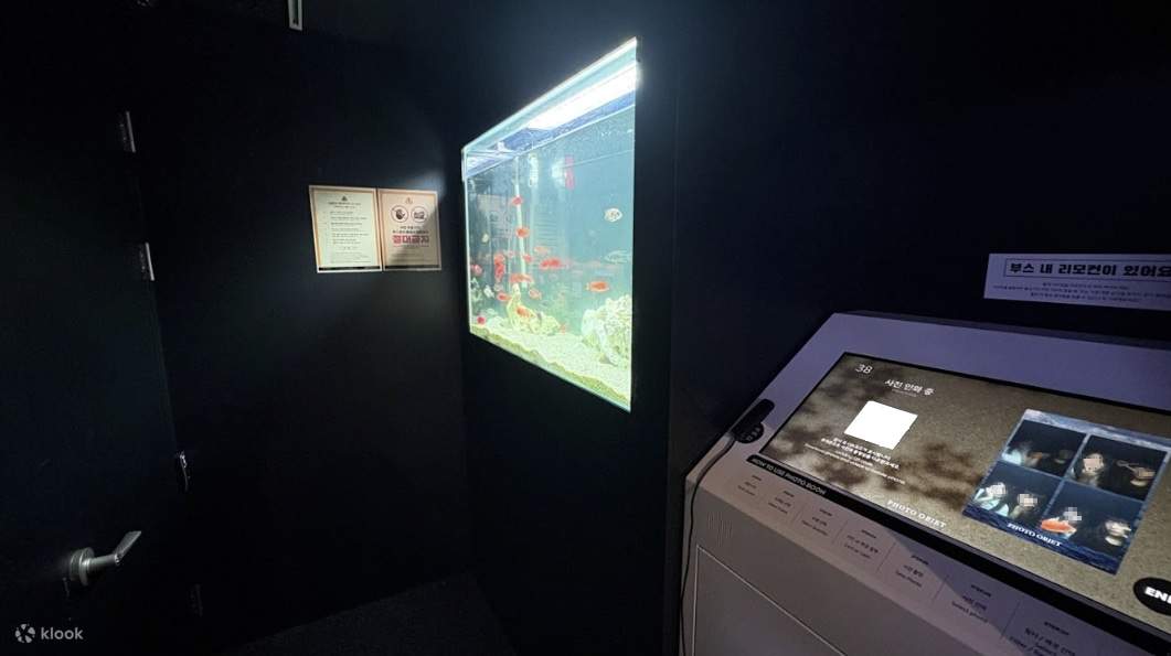 真夜中の屋台巡り：夜から始まるリアルな韓国体験