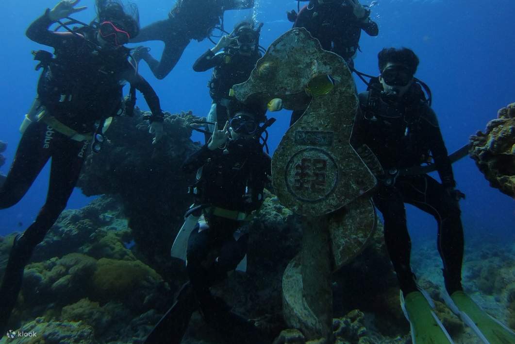 緑島ブルーサ・ダイビングセンター FUN DIVE ビーチダイビング・ナイト