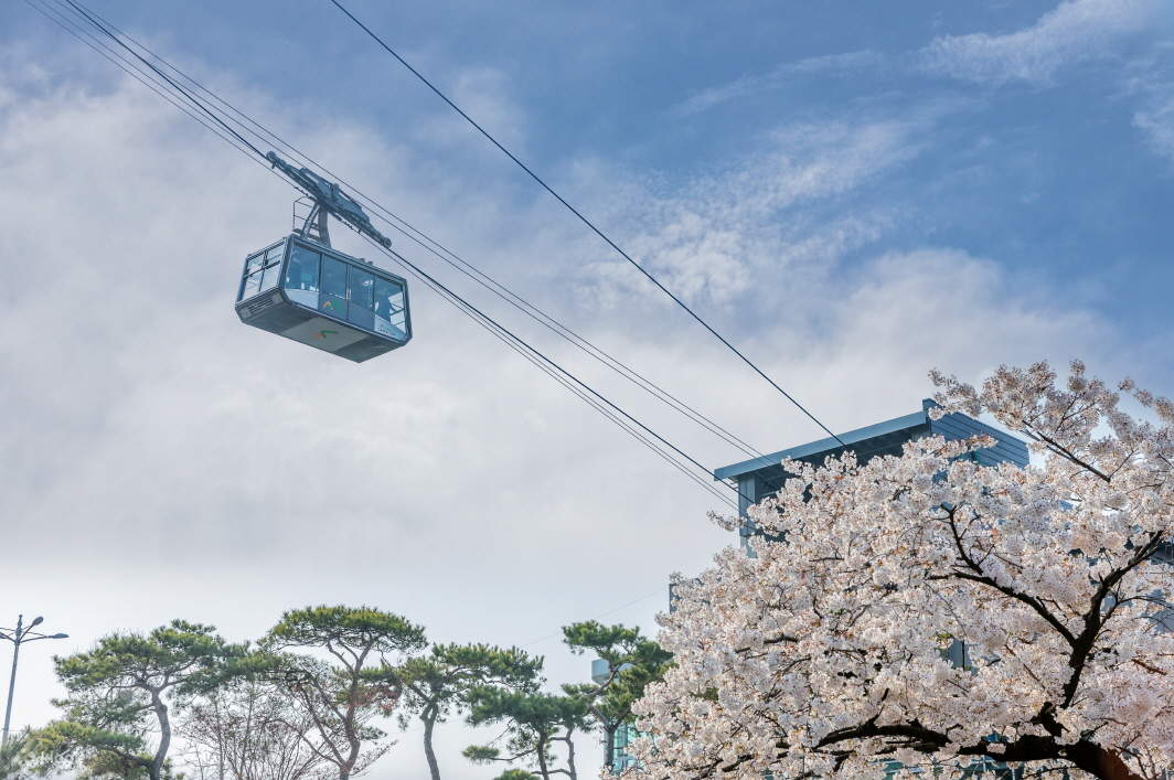 namsan-cable-car-weekdays-roun-trip-ticket-in-seoul-klook-philippines