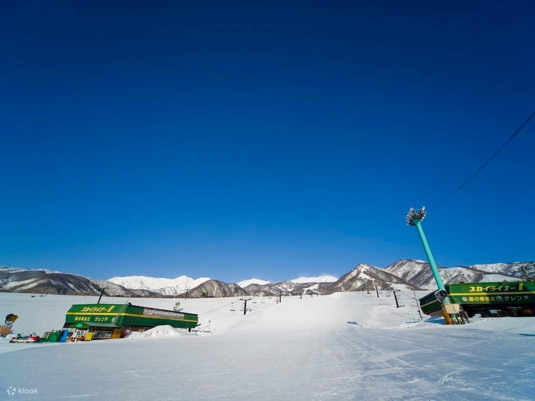 栂池高原スキー場 リフト1日券 3枚 2024-2025シーズン用 7/16(火)~2024-25 Hakuba Valley 全山共通シーズン券販売開始