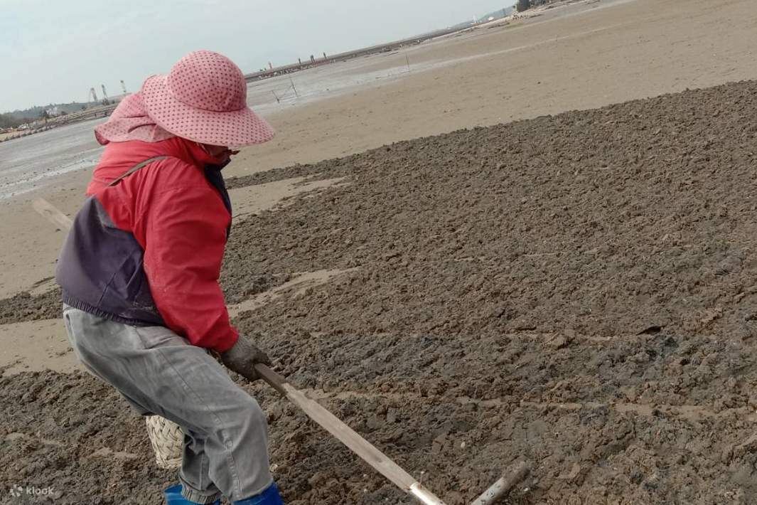 用工具找天然食材