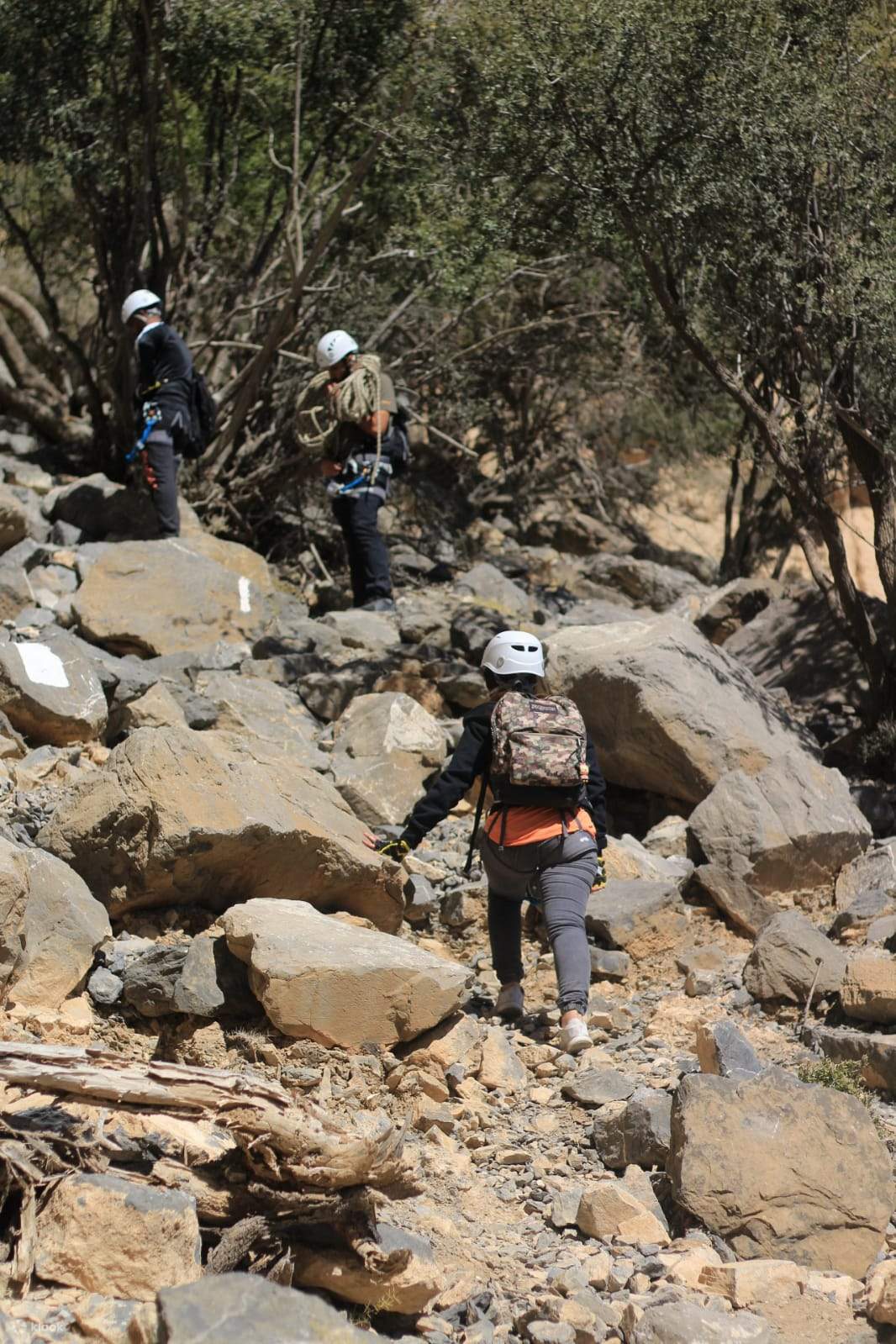 傑貝爾沙姆斯山區健行