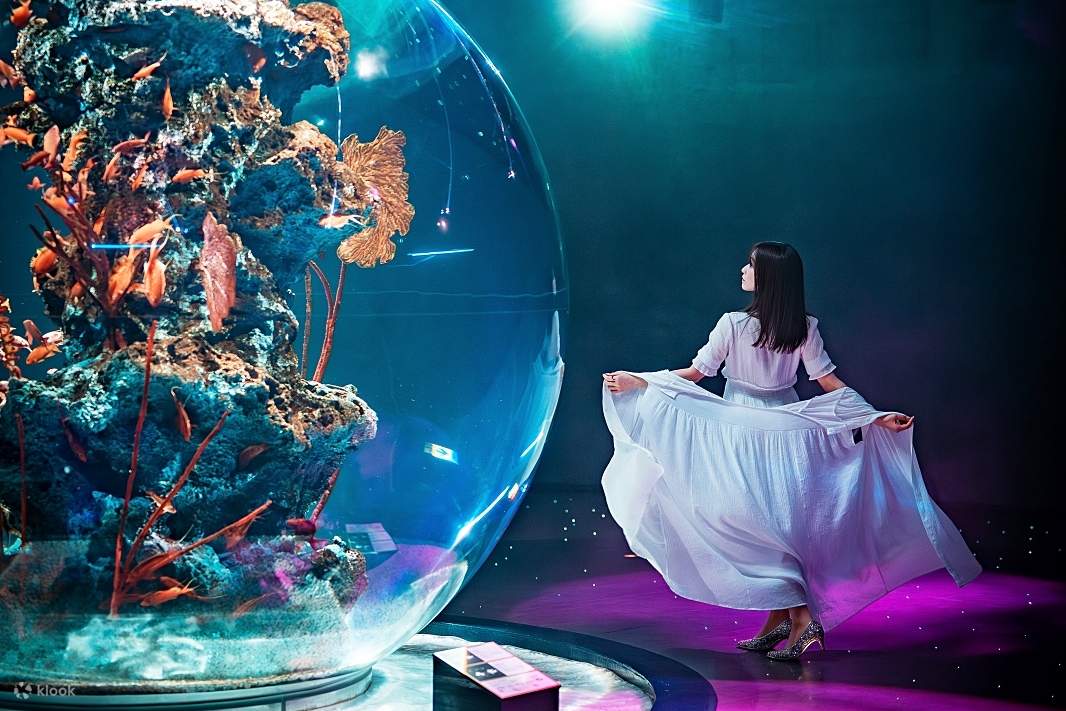 神戶都市水族館 AQUARIUM×ART átoa