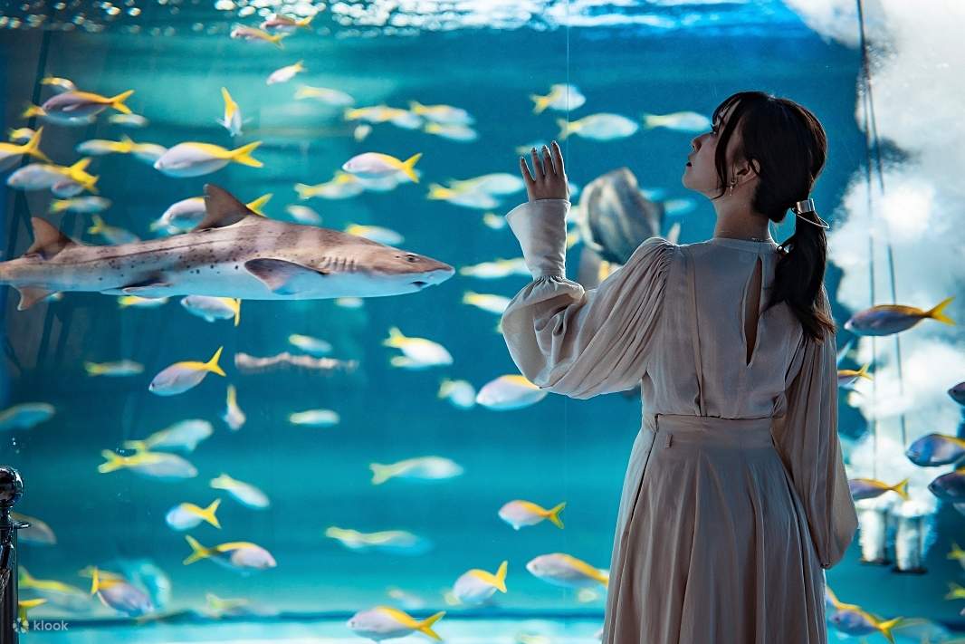 神戶都市水族館 AQUARIUM×ART átoa