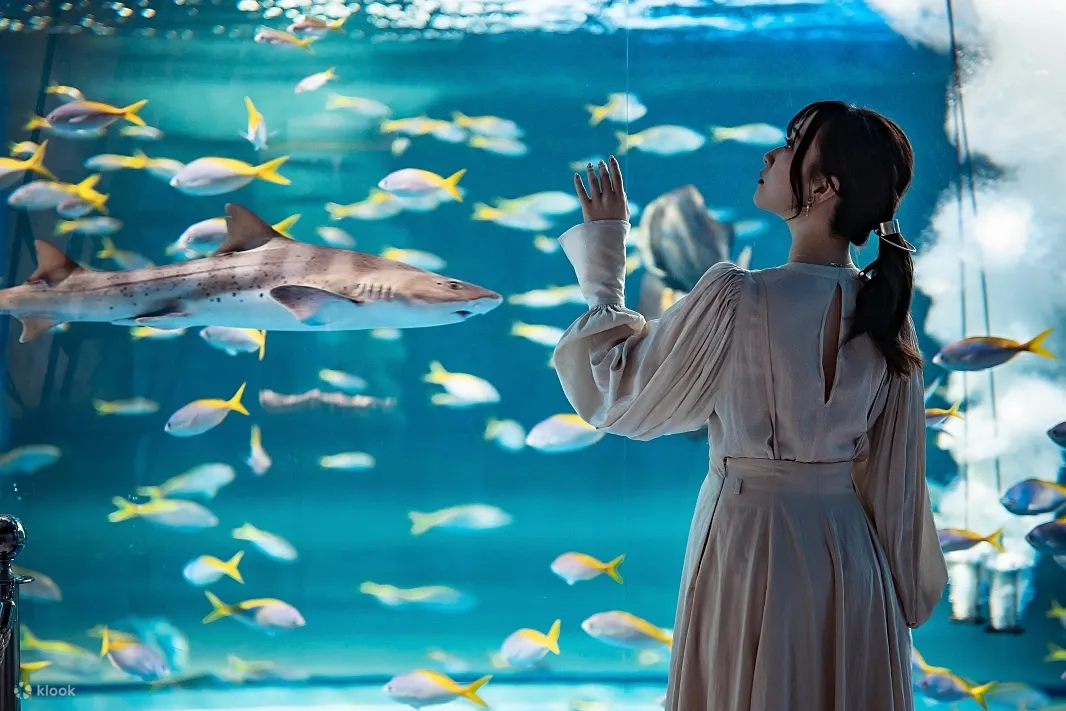 神户城市水族馆 AQUARIUM×ART átoa