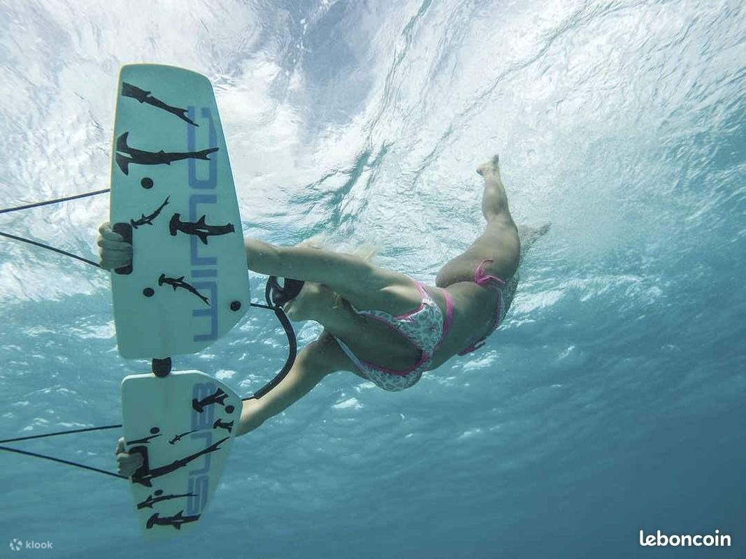 Water Ski and Sub Wing Adventure with Private Transfer - Hurghada