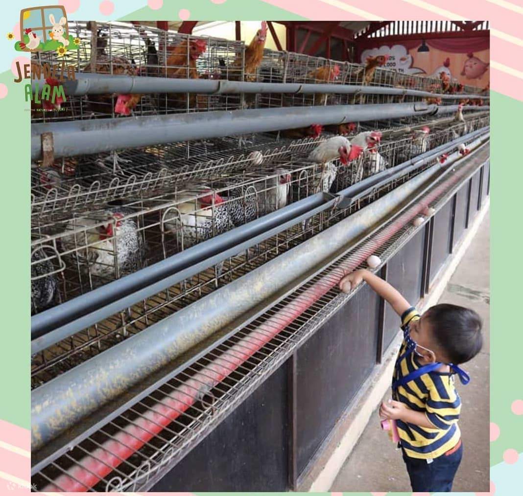 Jendela Alam Bandung