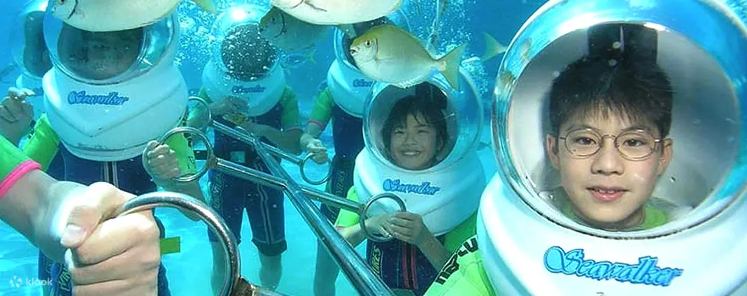 海