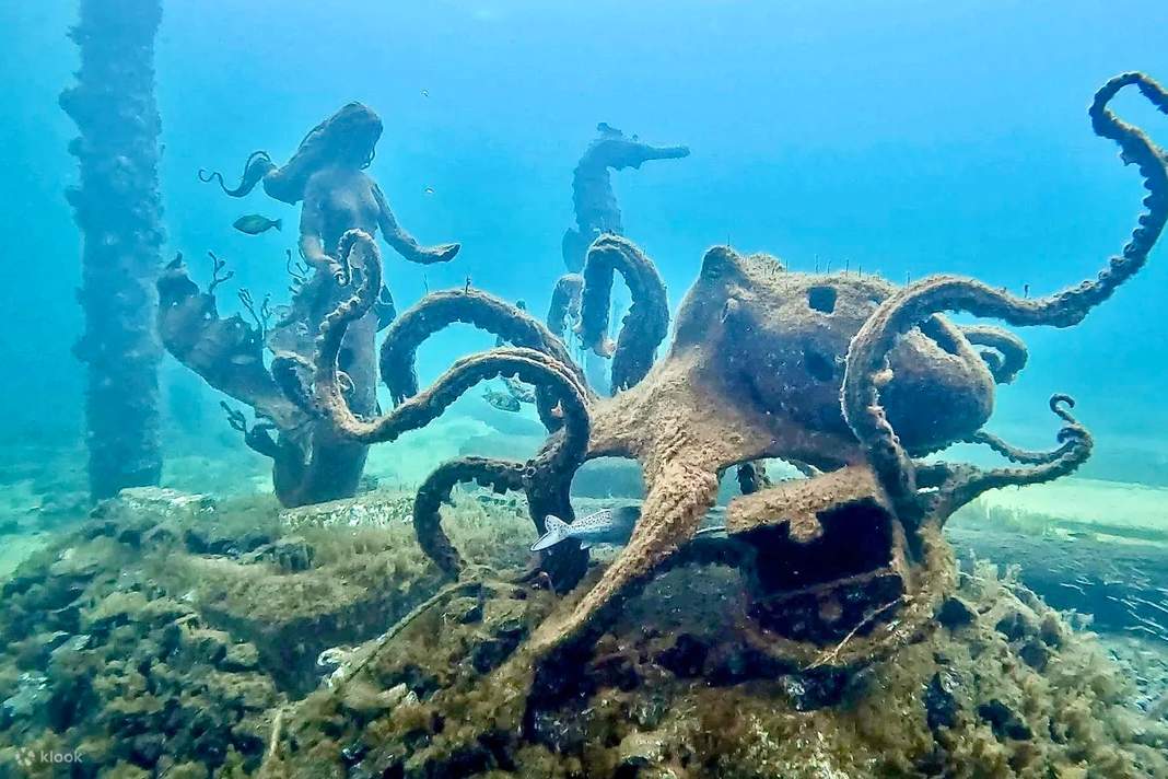 Busselton Jetty and Underwater Sculptures Dive