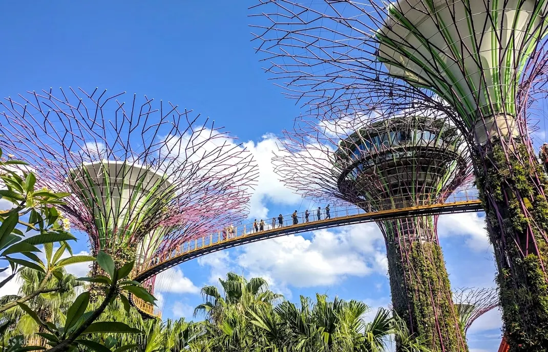新加坡豪华旅游巴士
