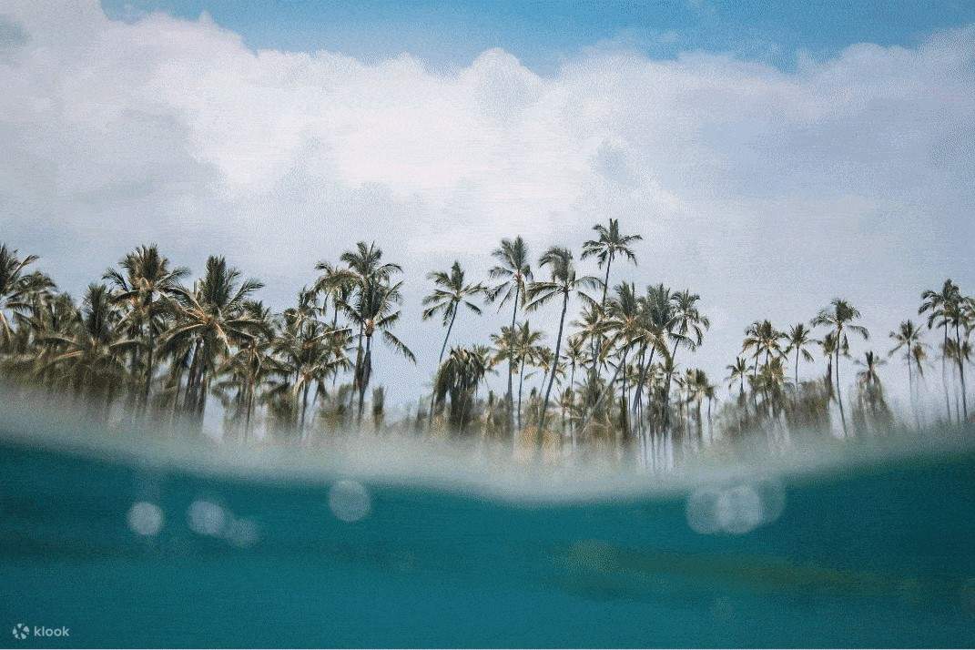 探索基韦斯特海岸线上的隐秘瑰宝，包括僻静的岛屿和宁静的沙滩