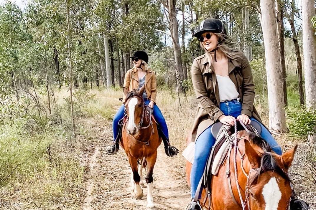 Horseback Bushland Trail Ride Peribadi di Hunter Valley
