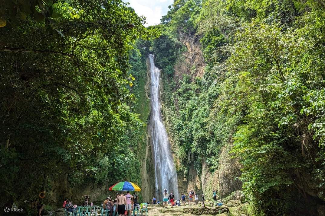 В Моалбоале также можно увидеть морских черепах. Вы сможете полюбоваться различными милыми сценками: как они грациозно плавают, едят водоросли и мирно отдыхают.
