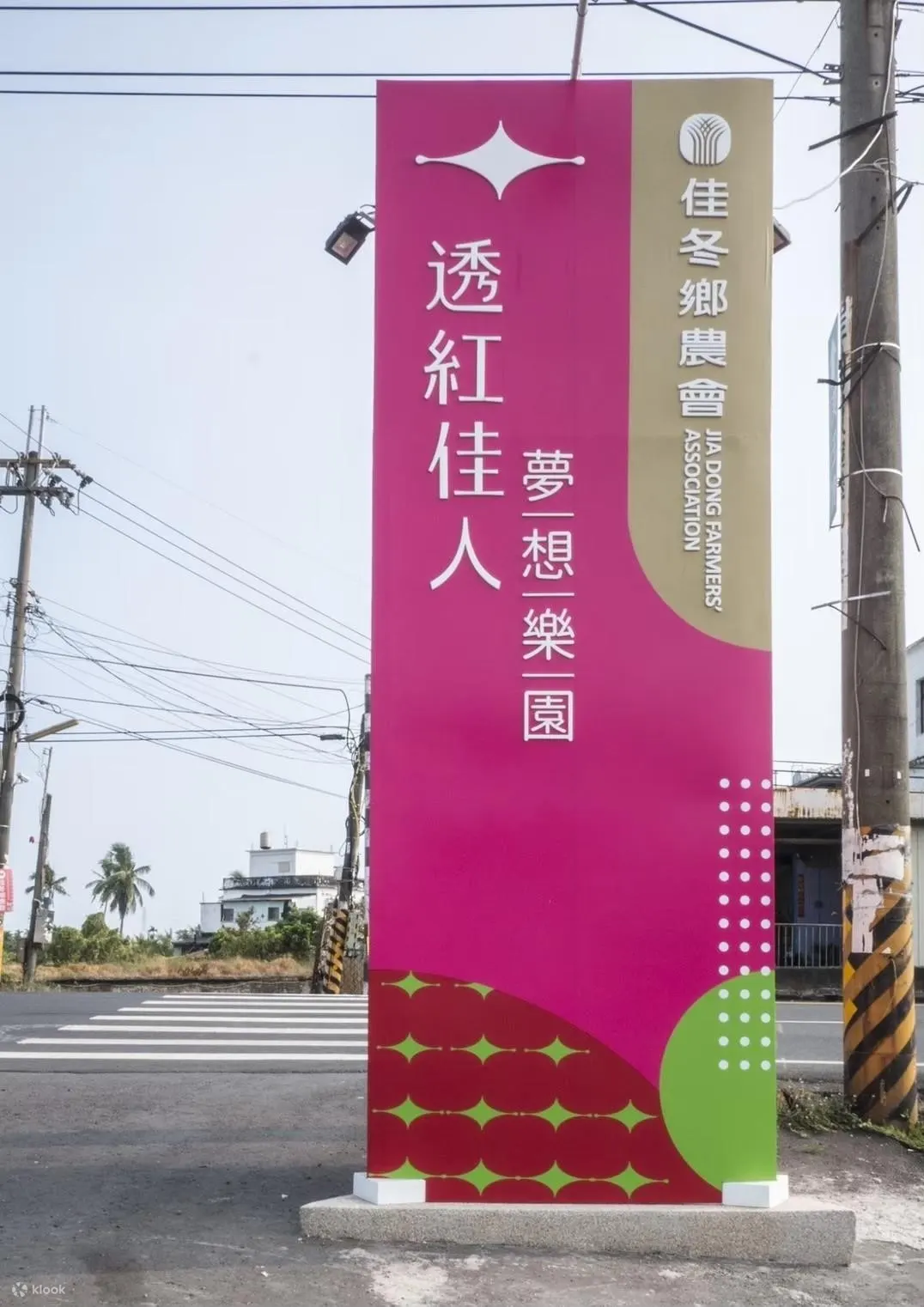 佳冬乡农会｜莲雾爱玉冻吃冻｜导览活动
