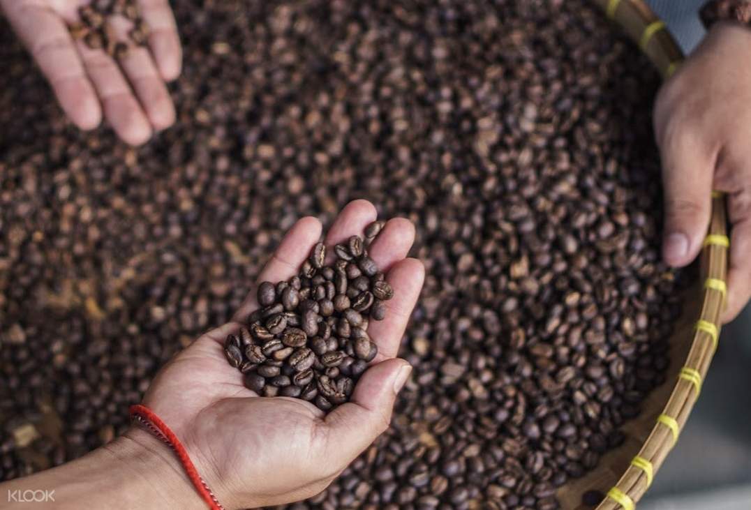 Coffee Plantation Visit with Luwak Coffee Tasting Experience in Bali