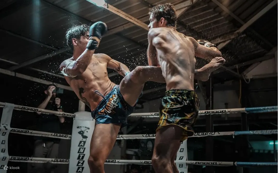 Hua Hin Muay Thai Fight Schedule with All Boxing Matches Hua Hin Muay Thai Fight Schedule with All Boxing Matches