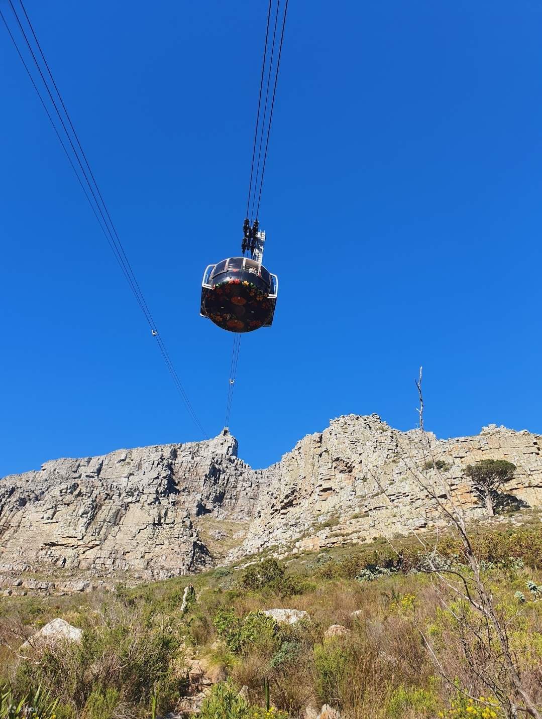 Cả ngày Cape Town: Núi Bàn, Vườn Bách thảo & du thuyền ngắm hoàng hôn