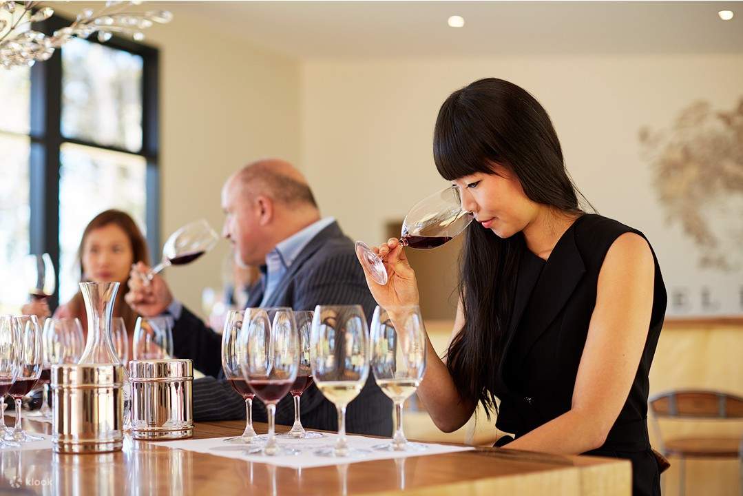 Degustazione di vini della tenuta Passel