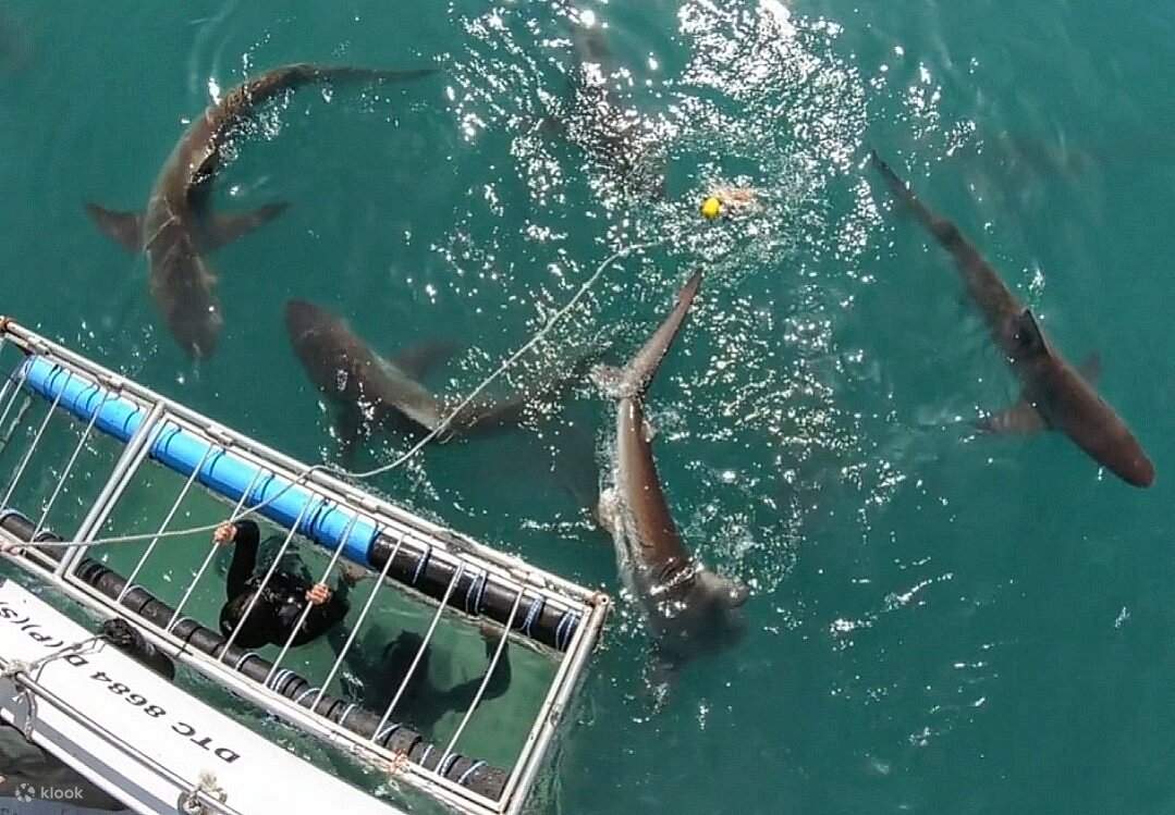 Полюбуйтесь видом с лодки.