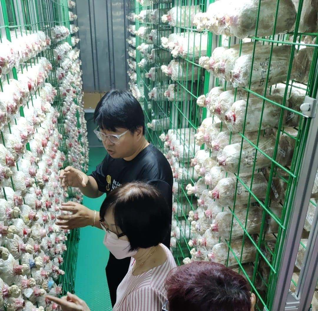 Private Farm Tour & Hands-On Feast (90 Menit)