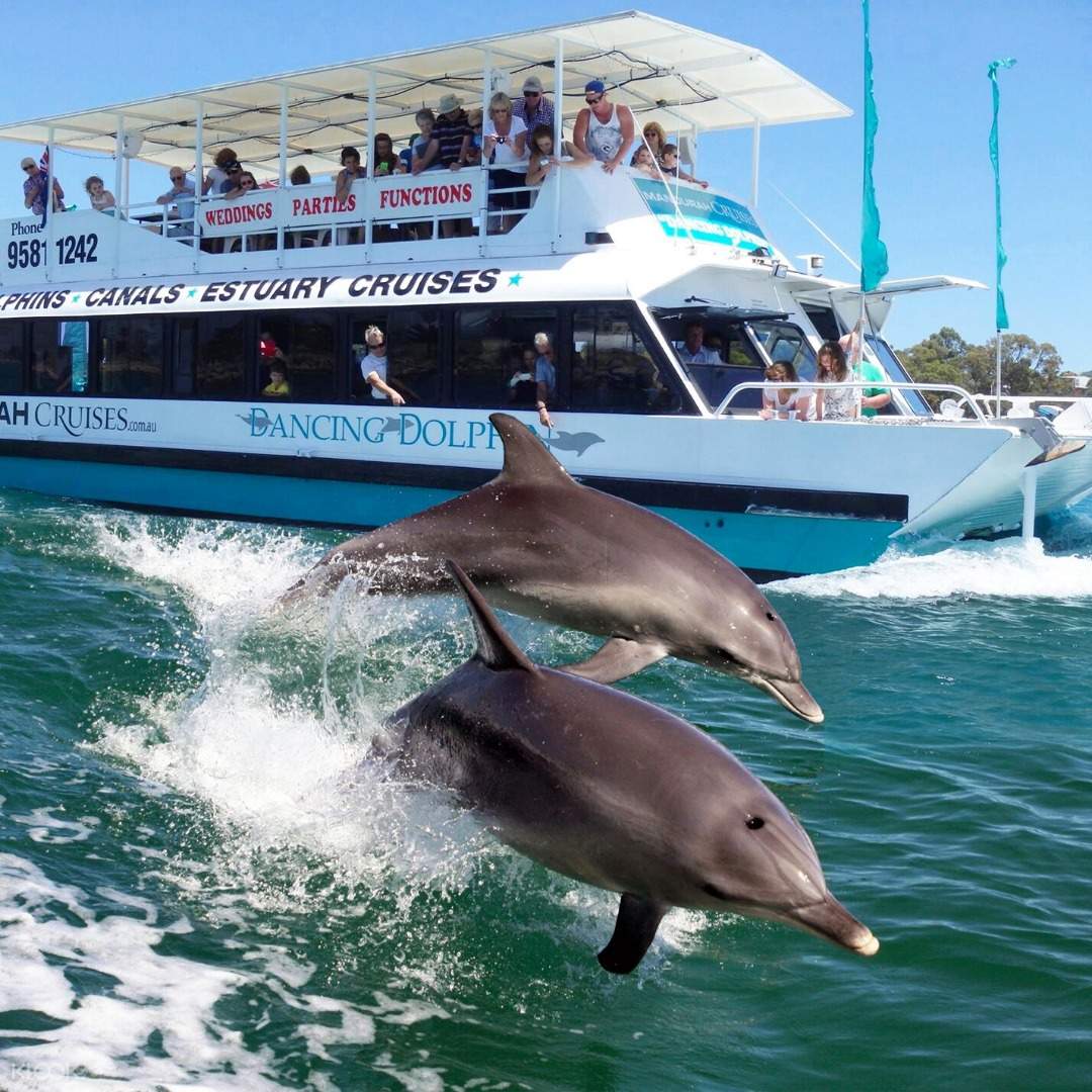 dolphin cruises perth