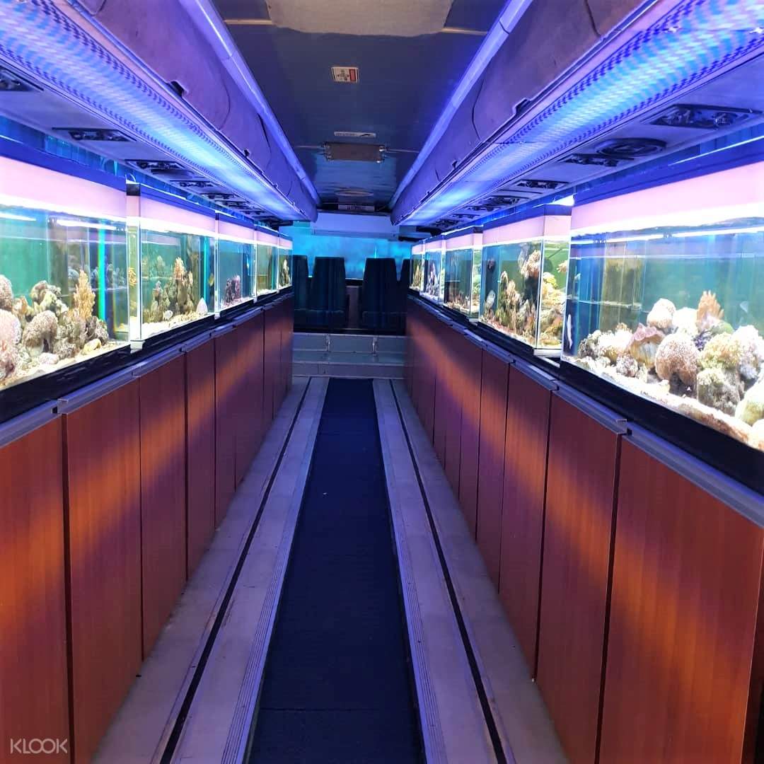 Upside Down House Gallery And Busquarium Tickets Malaysia Klook Malaysia