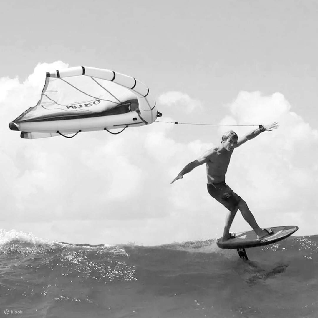 ウイングサーフィン