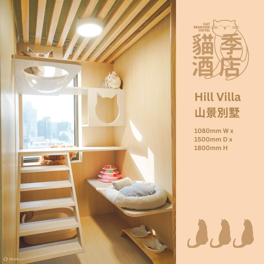 猫季酒店 - 猫猫住宿服务