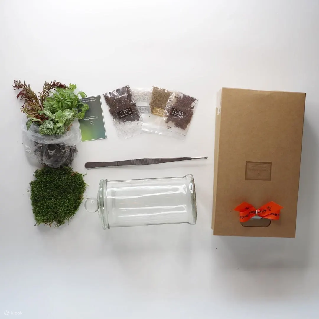 屏东: DIY手工体验 - 植物生态瓶・永续循环