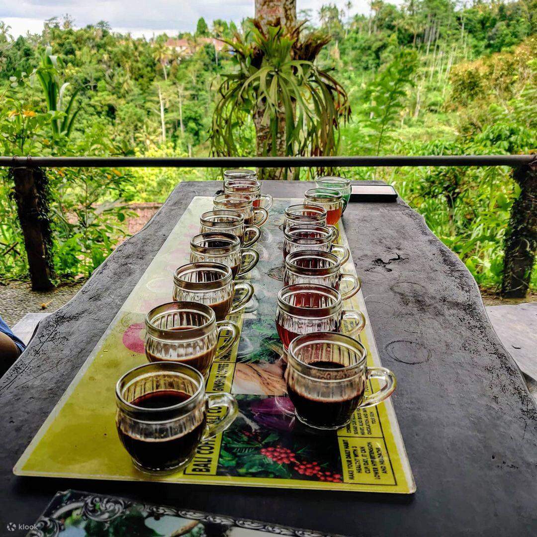Mount Batur Black Lava ATV Quad Bike Tour auf Bali