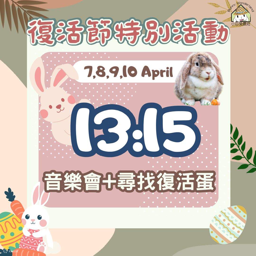 [Aktivitas orangtuaanak] Yuen Long Little White Rabbit Farm Bunny