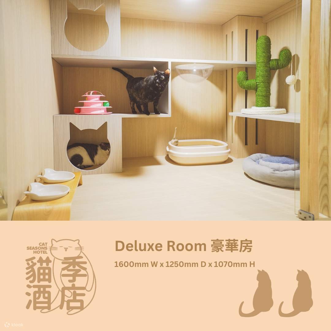猫季酒店 - 猫猫住宿服务