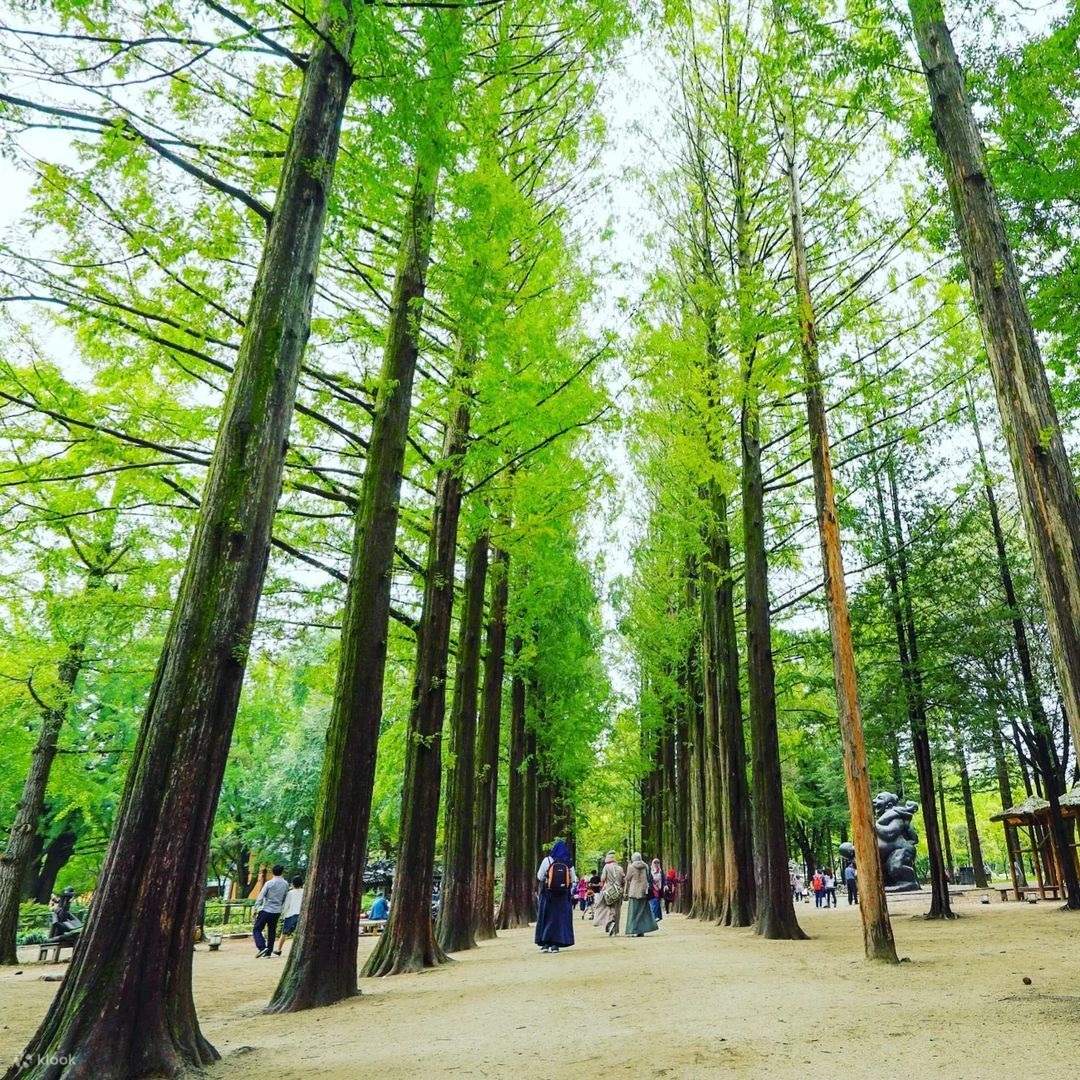  klook nami island and gwangjang market klook