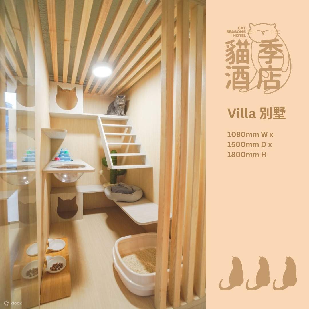 猫季酒店 - 猫猫住宿服务