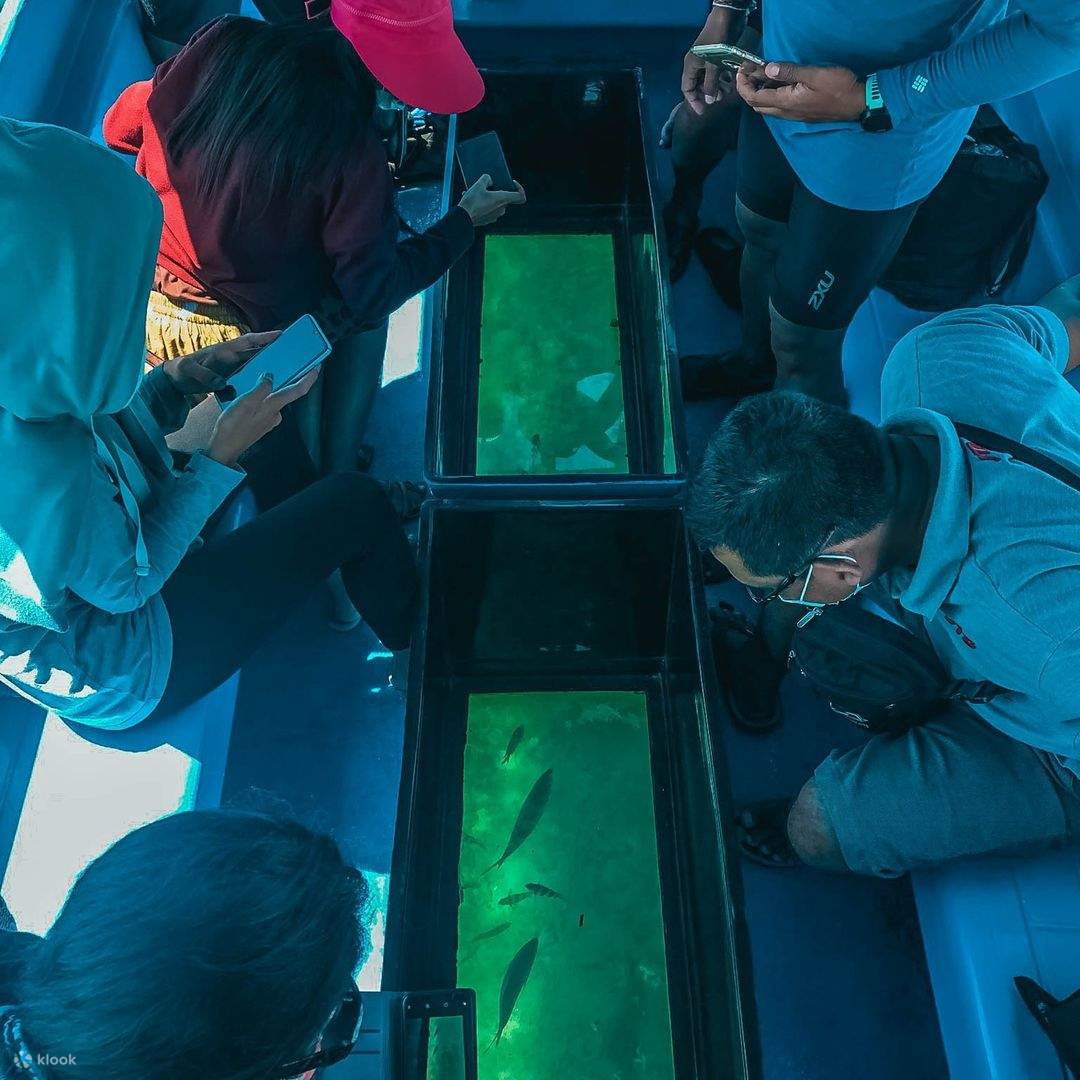Turtle Island, Glass Bottom Boat, Mangrove Cruise by JTB Indonesia