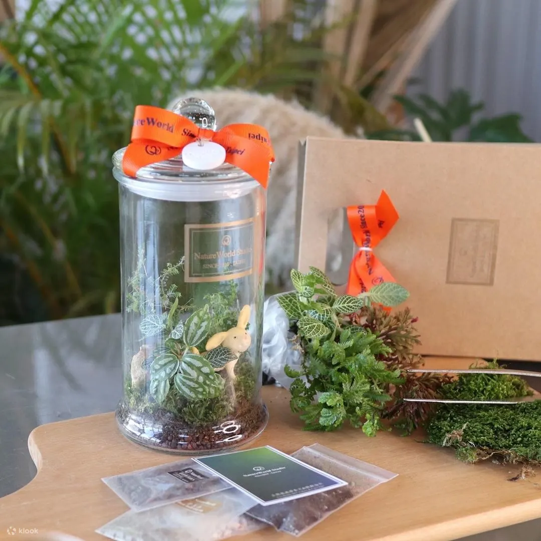 屏东: DIY手工体验 - 植物生态瓶・永续循环