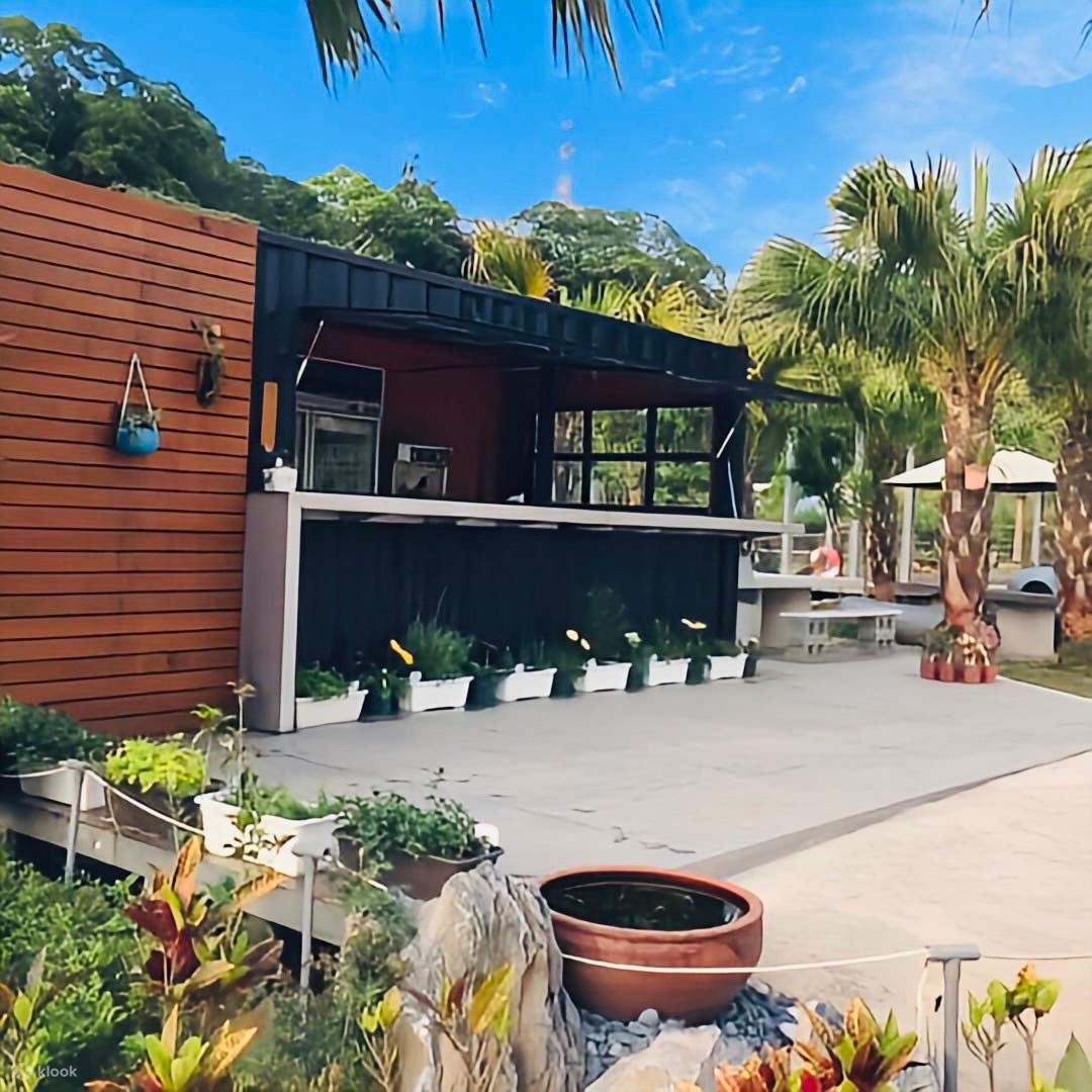 เถาหยวน: Tea Field 里山野露營