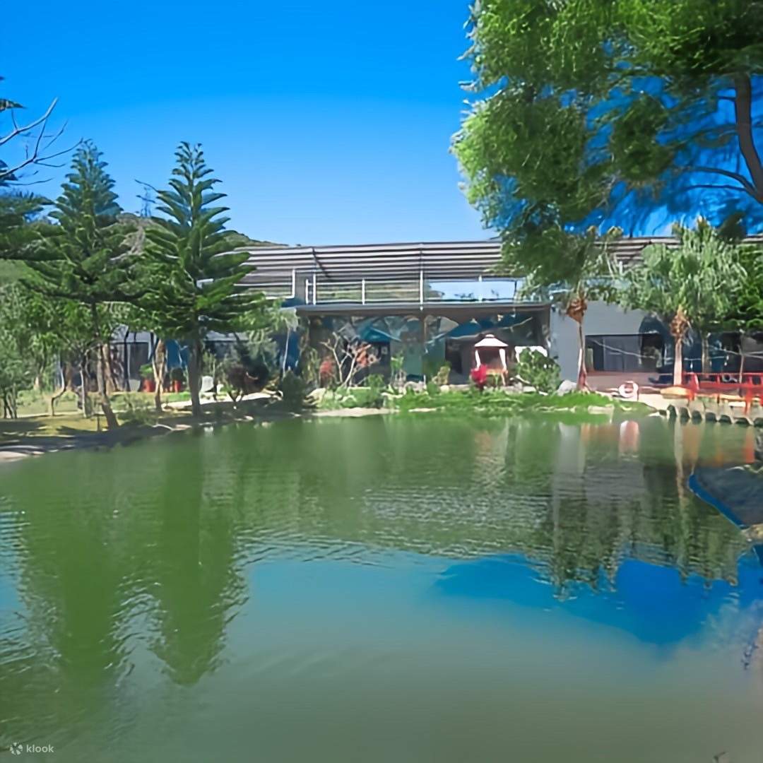 เถาหยวน: Tea Field 里山野露營