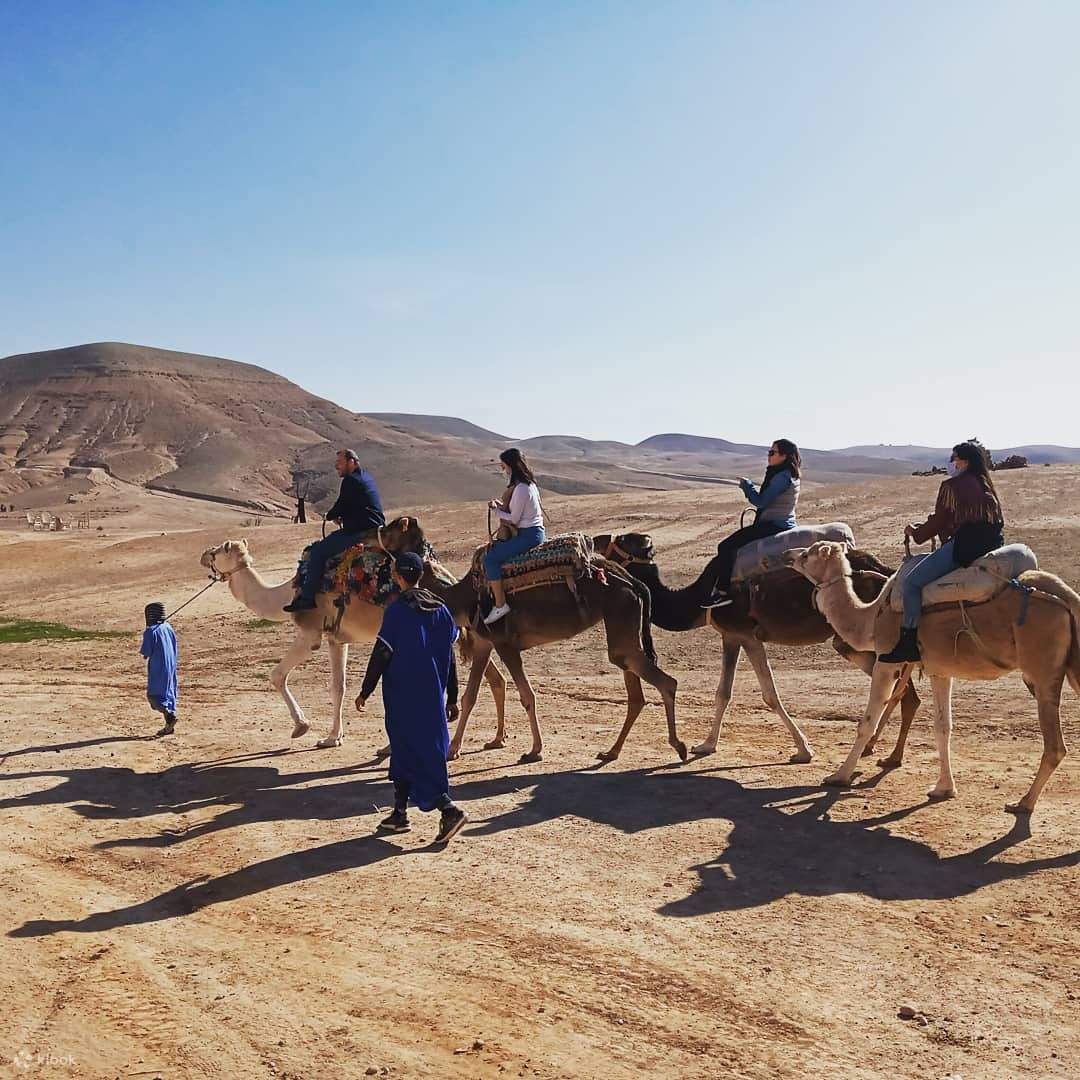 Paseo en Camello por el Desierto de Agafay