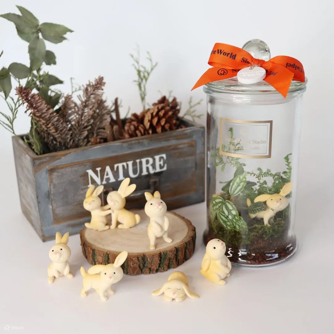 屏东: DIY手工体验 - 植物生态瓶・永续循环