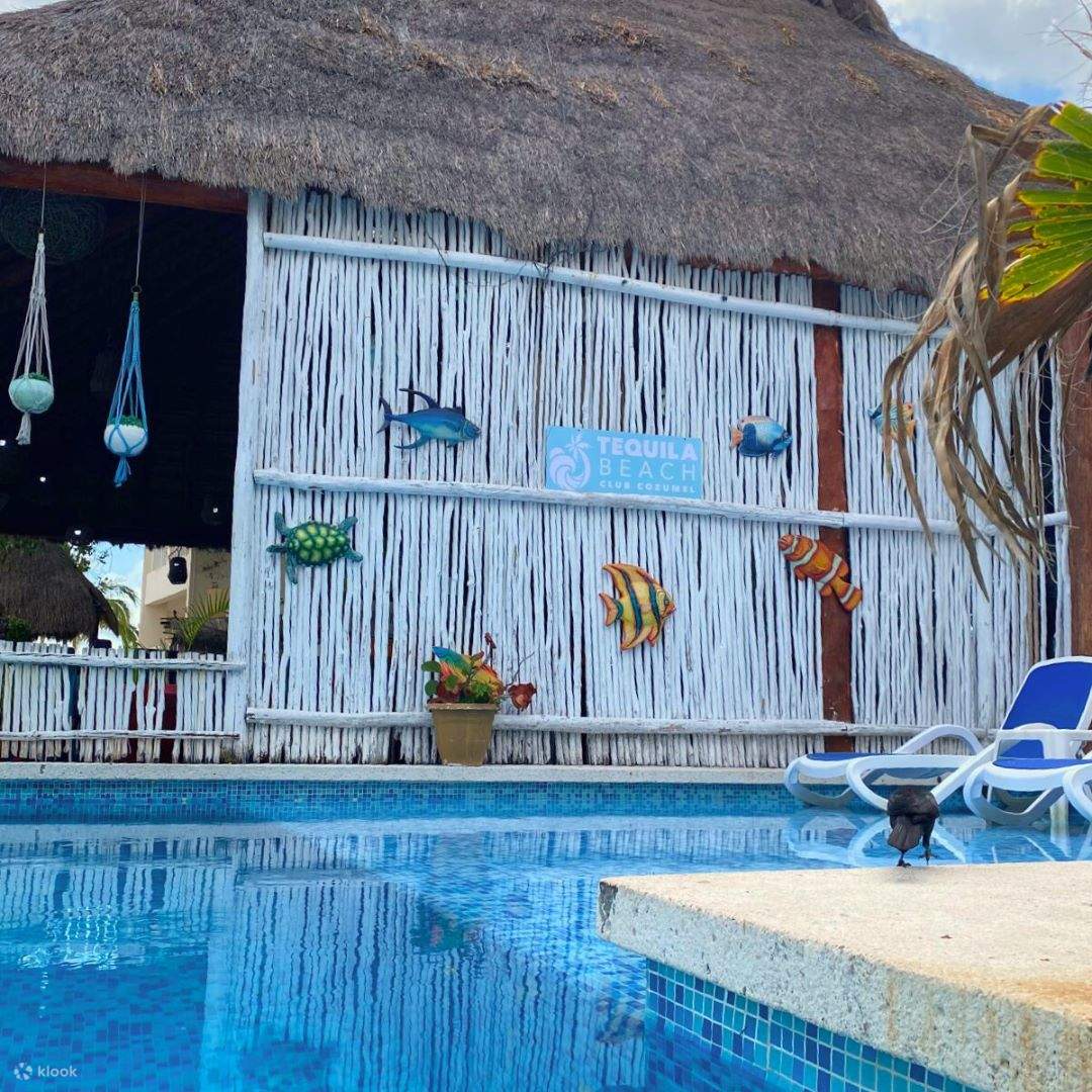 Kayak, paddleboard, snorkel – petualangan sudah termasuk open bar tanpa batas