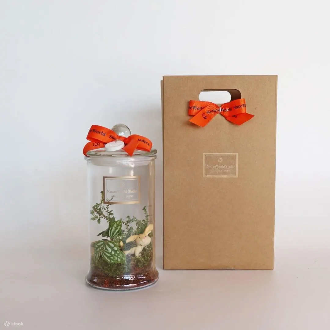 屏东: DIY手工体验 - 植物生态瓶・永续循环
