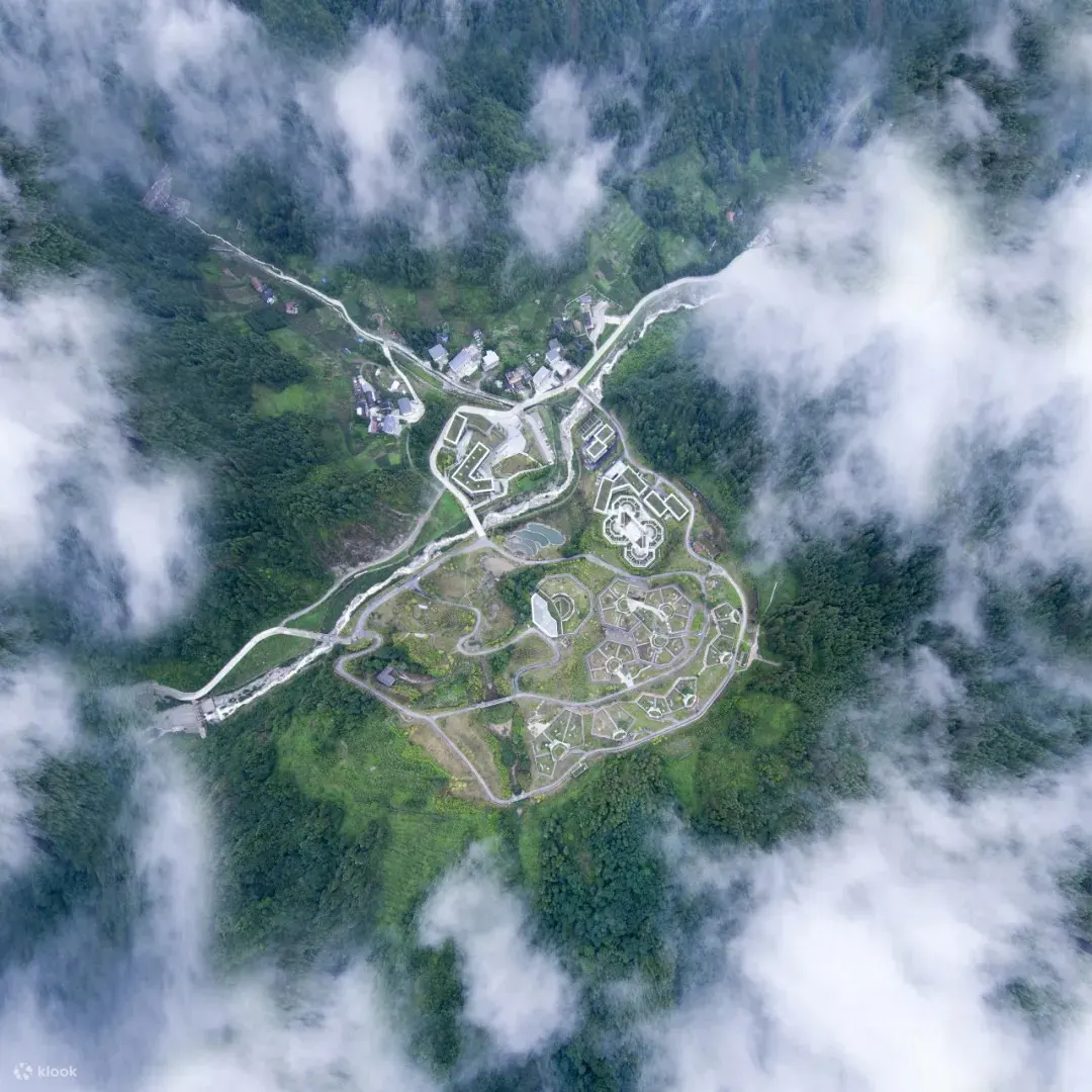 包车游览 成都往返神树坪基地&都江堰一日游