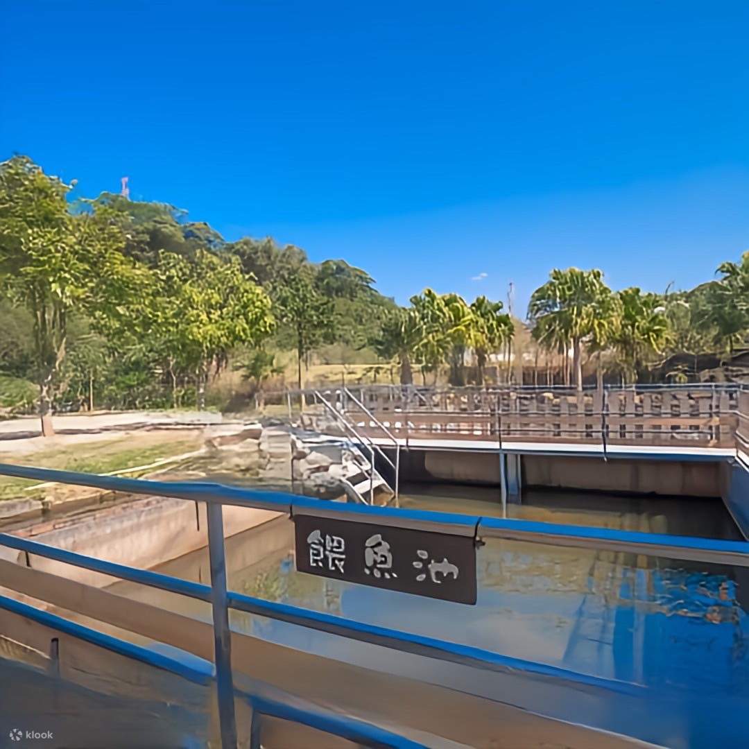 เถาหยวน: Tea Field 里山野露營